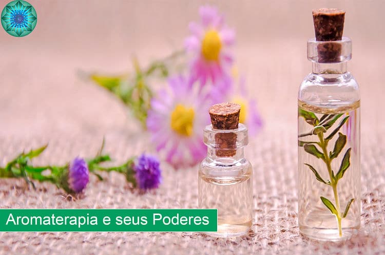 O Que Aromaterapia Conhe A Os Benef Cios Dessa T Cnica